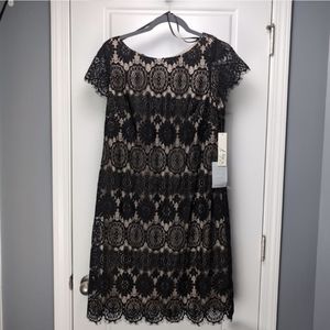 Eliza J lace fringe dress NWT